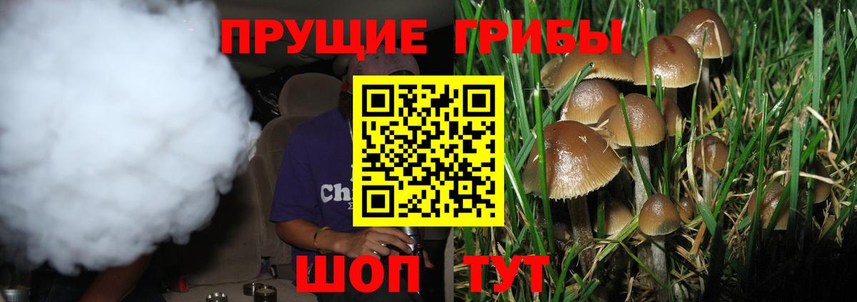 Псилоцибиновые грибы GOLDEN TEACHER Саратов